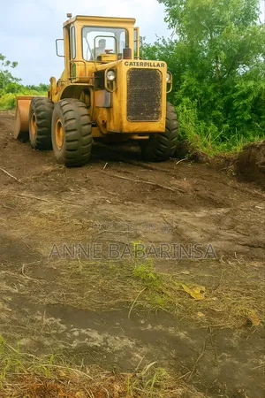 Acres of Land