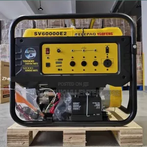 Brand New Elepaq Constant Sv60000e2 15kva 100%Copper