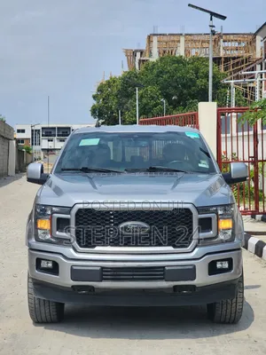 Ford F-150 Lariat 4x4 SuperCab Styleside 8 ft. box 163 in. WB 2020 Gray