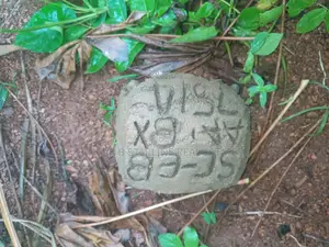 Land at Funai for Sale