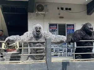 Gorilla Costume (Different Designs)