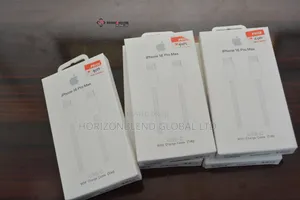 iPhone 16 Pro Charger