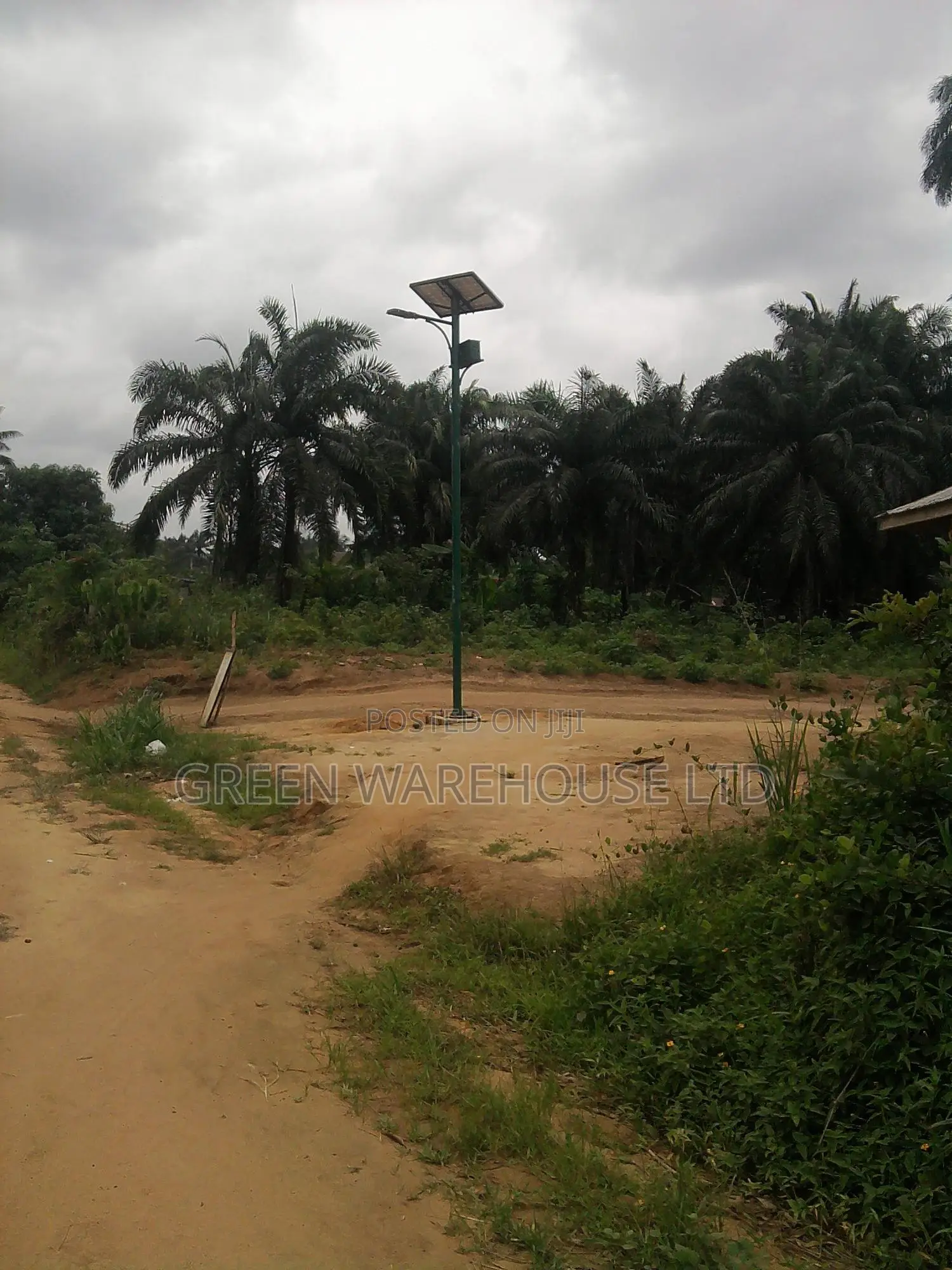 Bright Solar Street Light