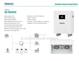 8kw 24v White Body Haisic Lithium Ion Battery