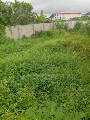 250 SQM Land Fenced With Gate