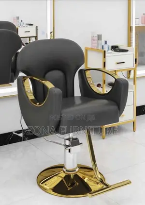 Luxury Barbing Salon Chair