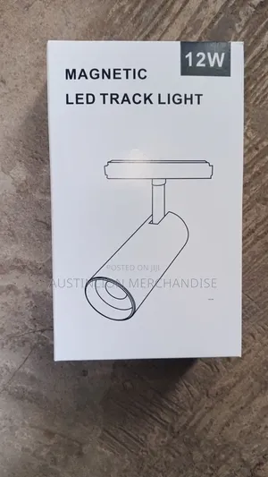 Magnetic Track Light