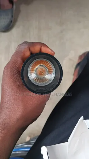 Magnetic Track Light