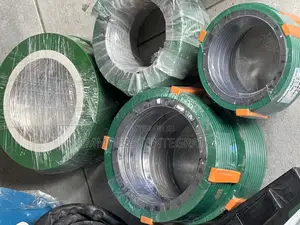 6 Spiral Wound Gasket