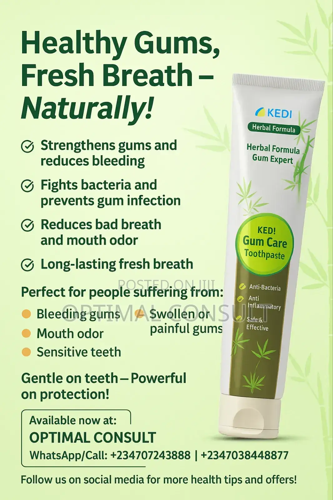 Gum Care Toothpaste
