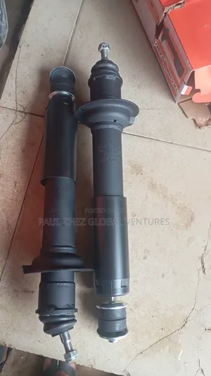 Complete Back Shock Mercedes Benz Ml320 W163