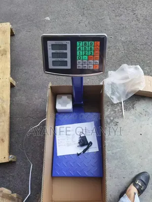 300_500kg Platform Digital Scale