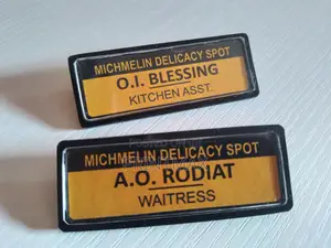 Large Lapel Pin or Badge