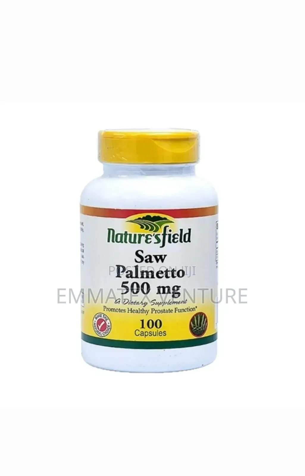 Nature’S Field Saw Palmetto