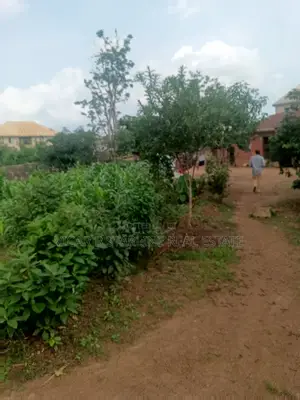 Above 10 Plots of Land With Houses Inside for Sale at Onwe Road.