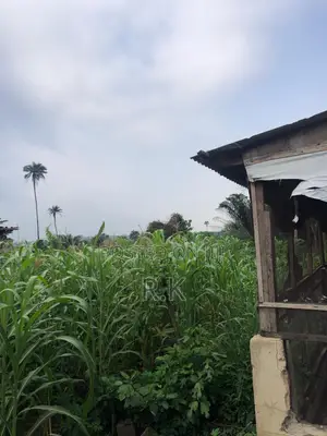 3 Acres of Land for Sale