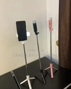 Mini Selfie Stick
