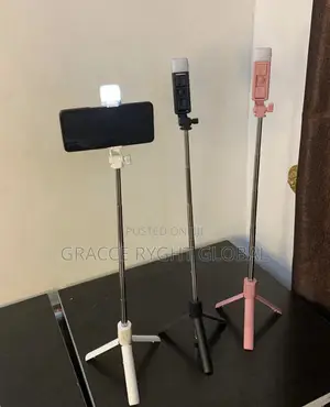 Mini Selfie Stick
