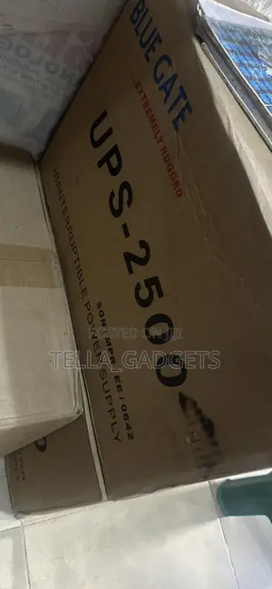Bluegate Extremely Rugged and Reliable Ups 2.5kva