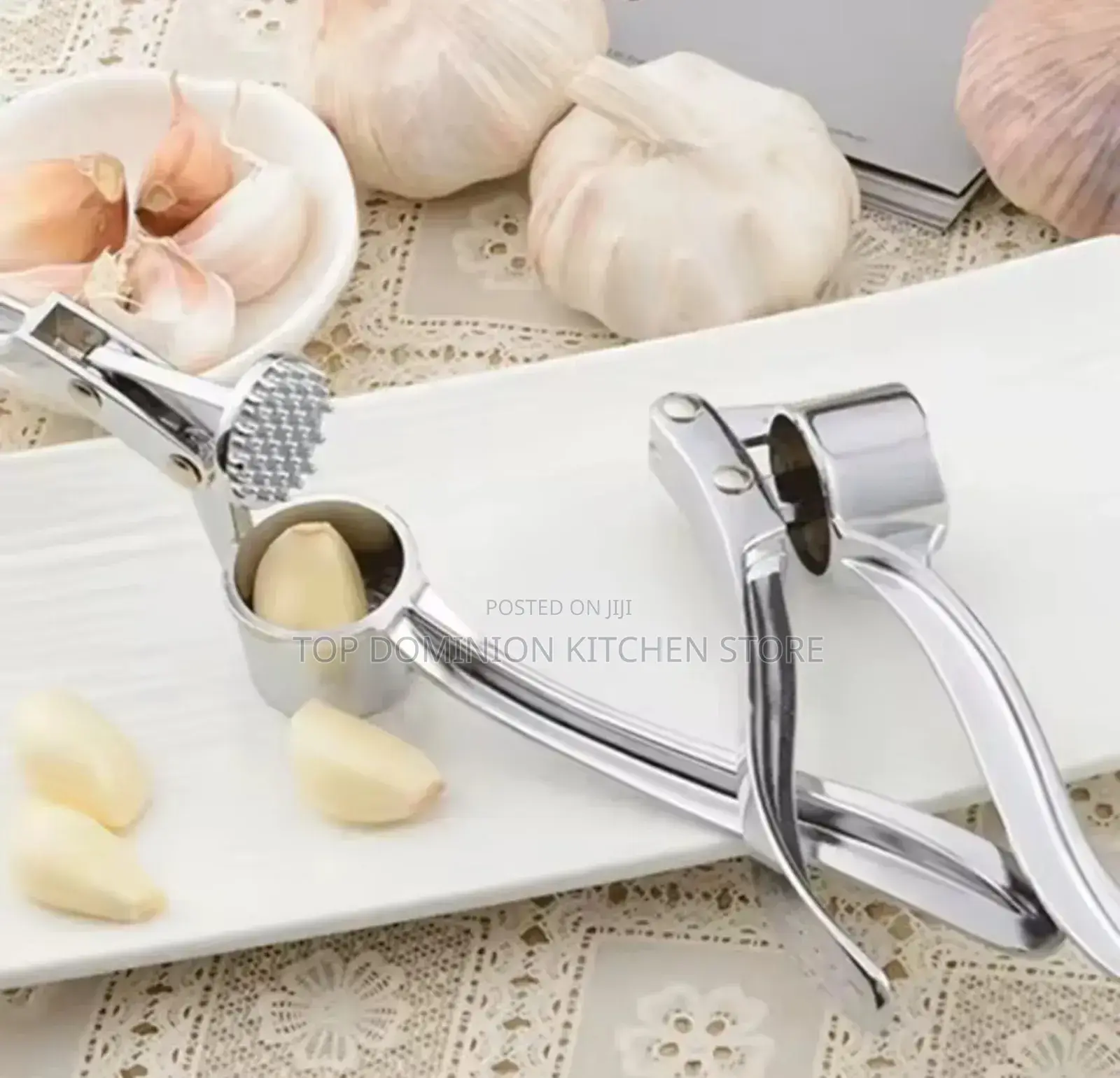 Stainless Steel Garlic Smasher