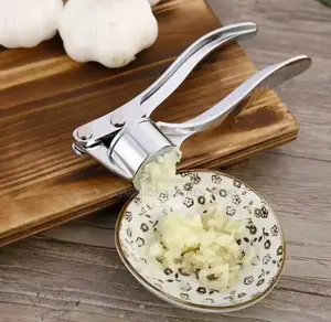 Stainless Steel Garlic Smasher