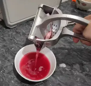 Portable Fruit Juicer Press
