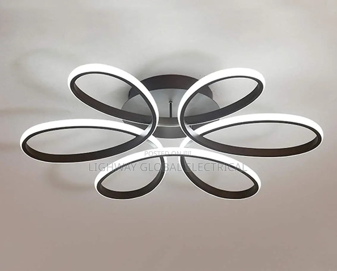 Ceiling Fitting
