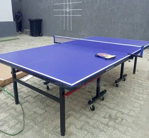 Professional Outdoor/Indoor Tennis Table