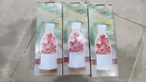 Rechargeable Juicer