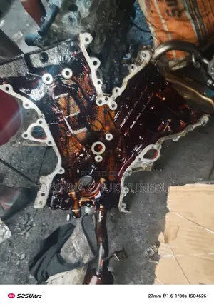 Complete Japanese Oil Pump 2gr