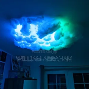 Cloud Ceiling Installation