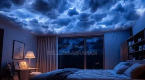Cloud Ceiling Installation