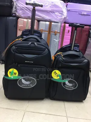 Leavesking Trolley Backpack