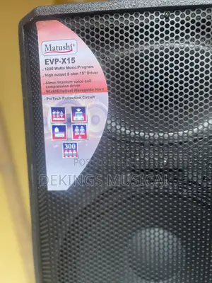 Matushi Evp-X15 Single 15” Mid-Range Speakers Pair