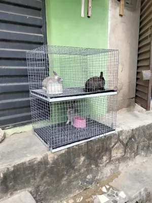 Double Decker Rabbit Cage (4 Rooms)