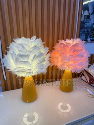 Led Desk Modern Table Feather Lamp