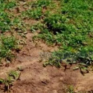 Plots of Land Available at Festac Town