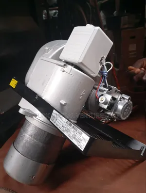 Riello Burners G20