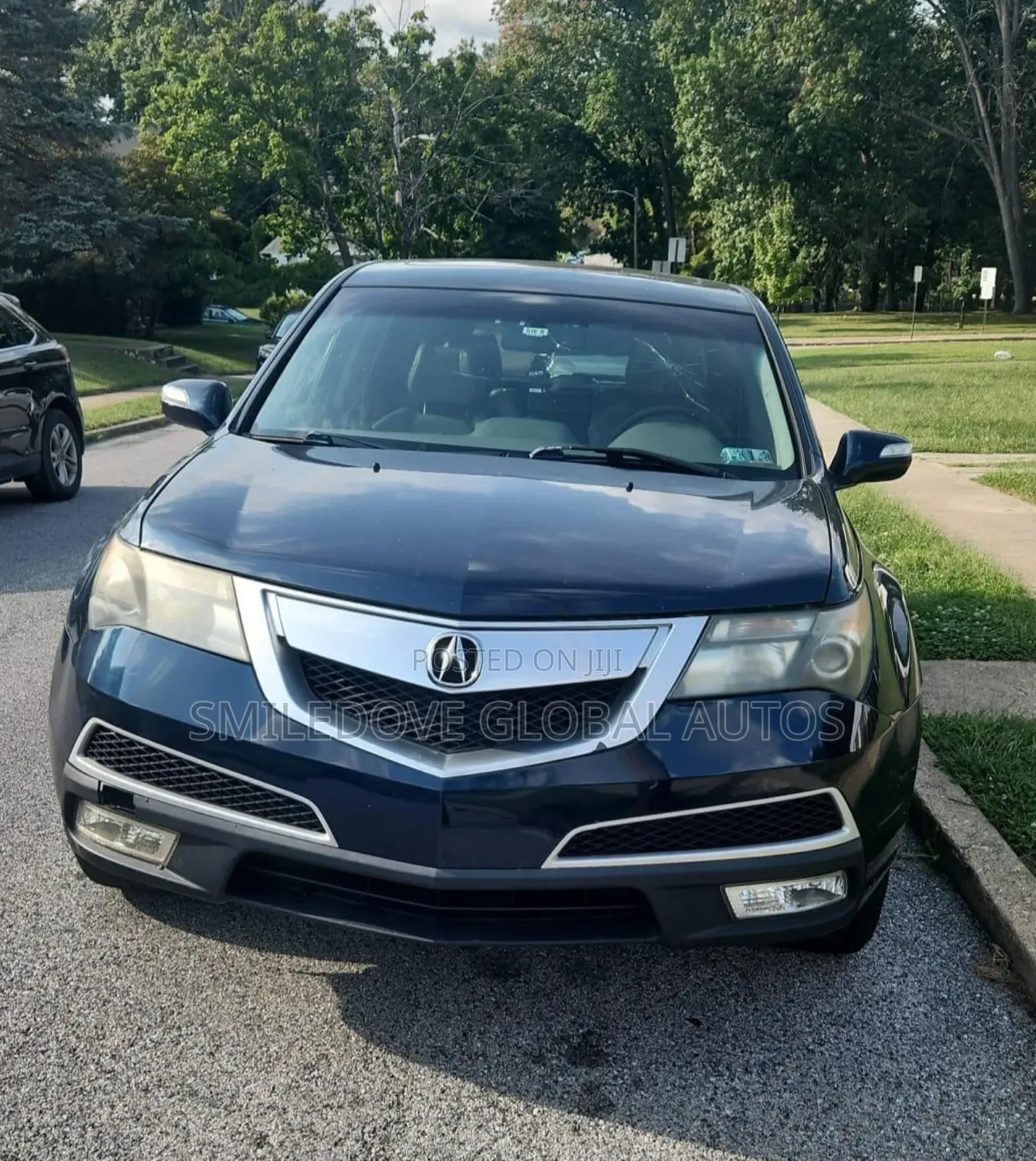 Acura MDX 2012 Blue