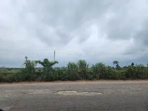 230 Acres of Industrial Land in Ogun State