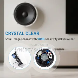 Hi-Fi 5inch 40w Passive Ceiling Speaker