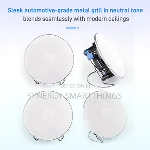 Hi-Fi 5inch 40w Passive Ceiling Speaker