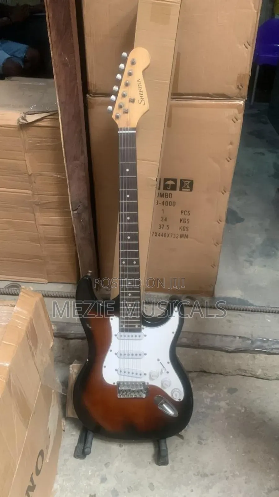Electric Guitar
