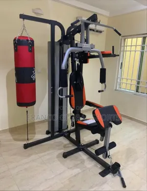 Multi-Station Workout Gym
