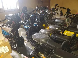 Electric Bike