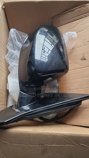 Side Mirror.........