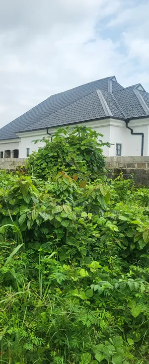 Land for Sale at Eneka Link Road Port Harcourt