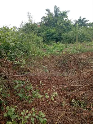 Asipa Ogun State