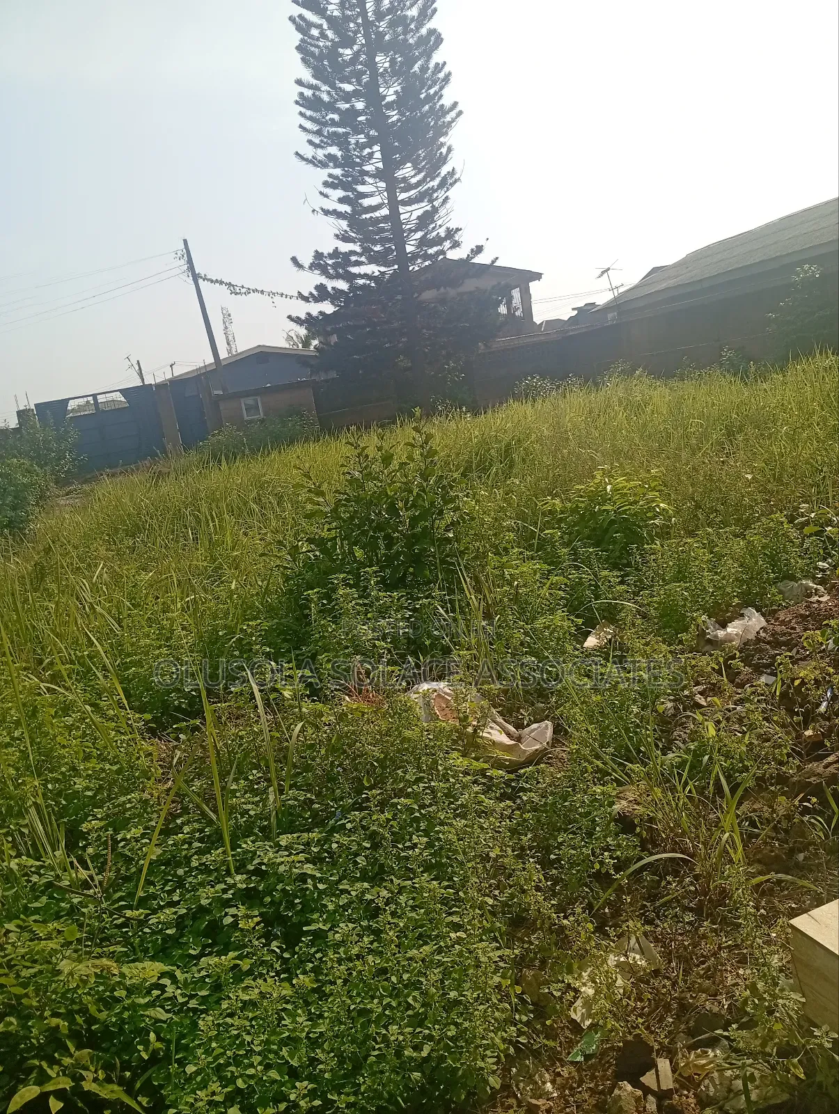Asipa Ogun State