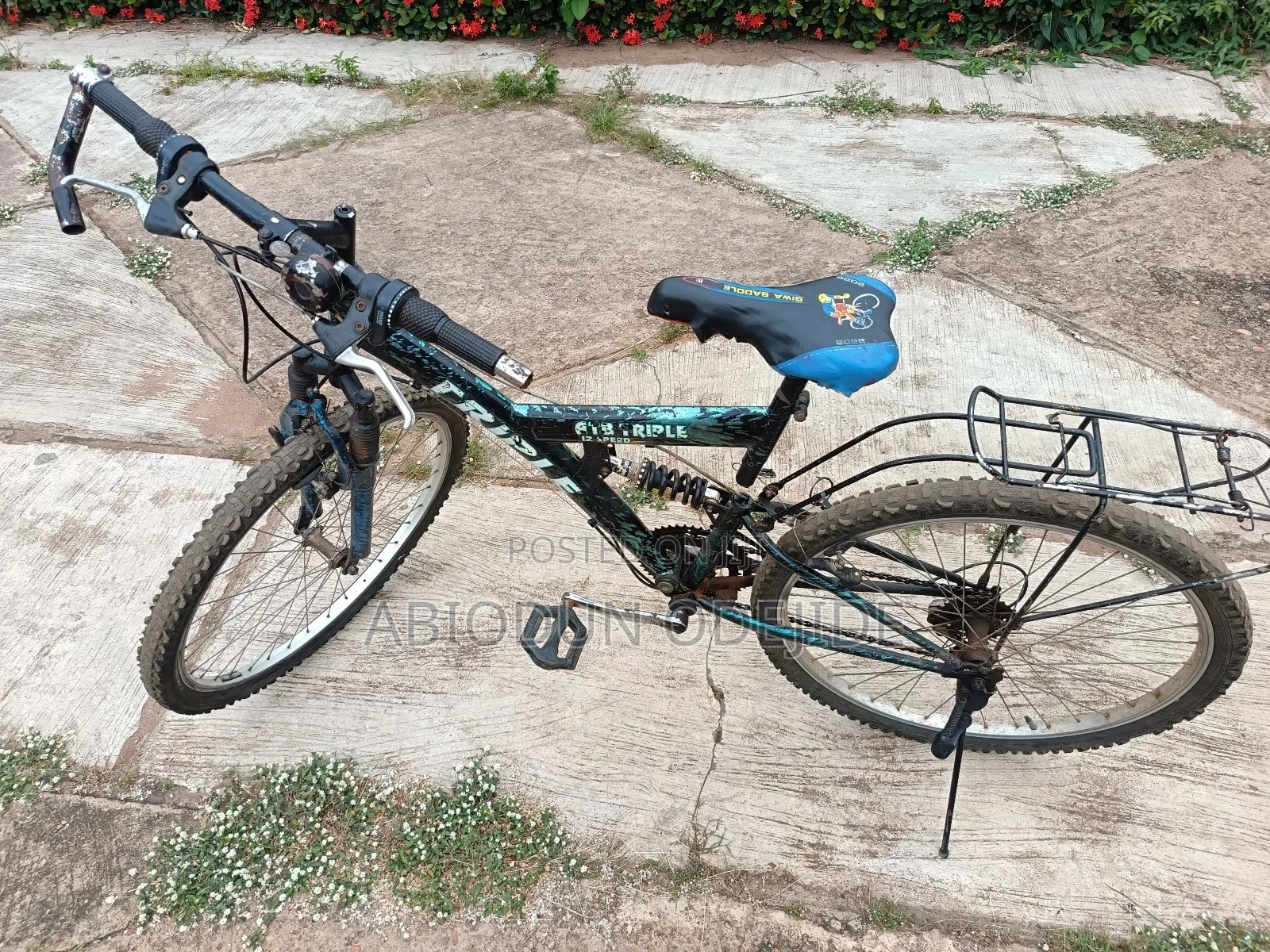 12 Speed Bicycle